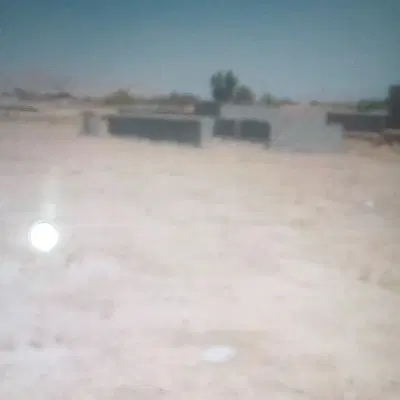 زمین