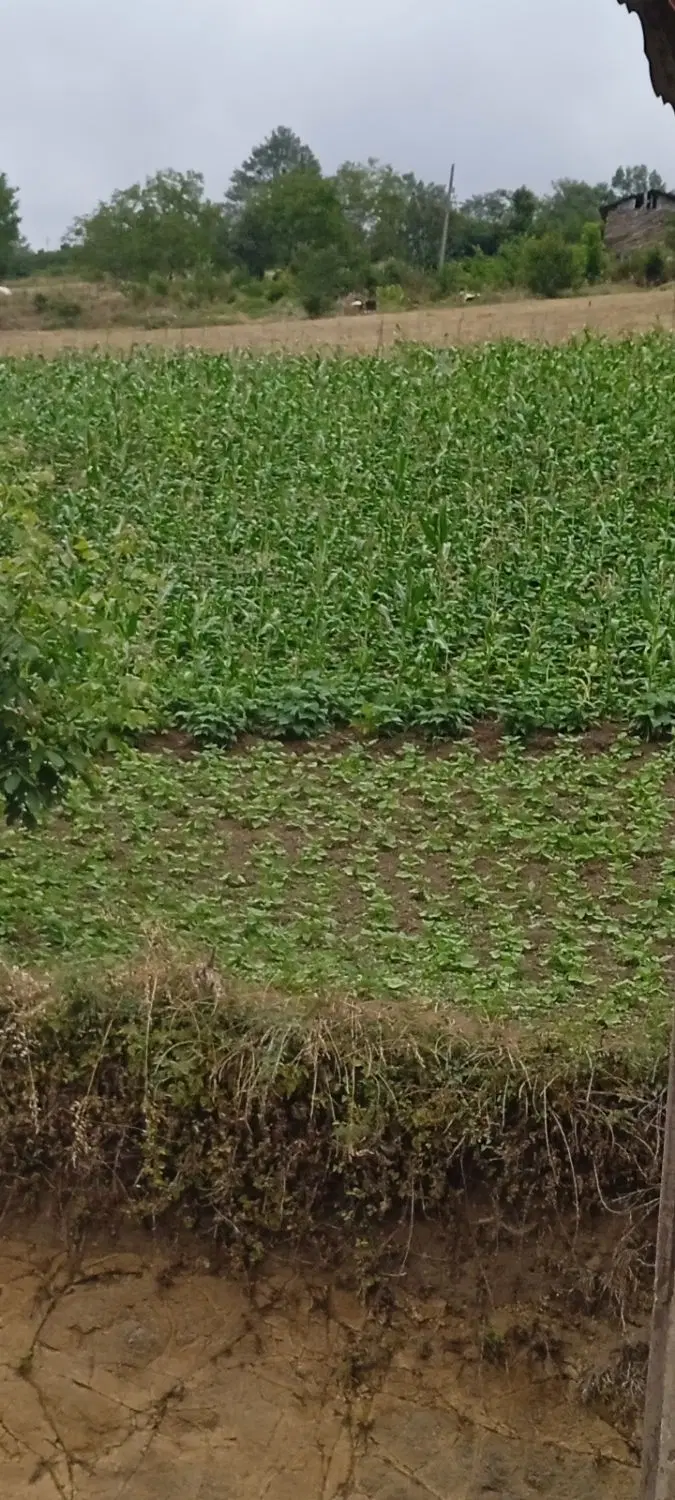 خانه محوطه مسکونی مثنثنیات