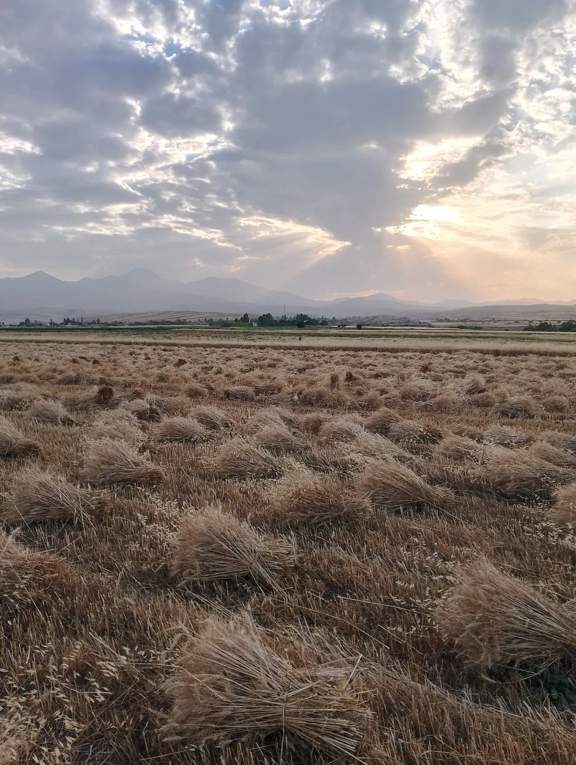فروش زمین در روستای دیحویجین