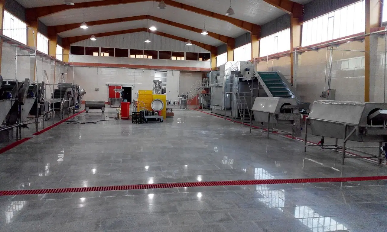 کارخانه بهداشتی سند پایانکار