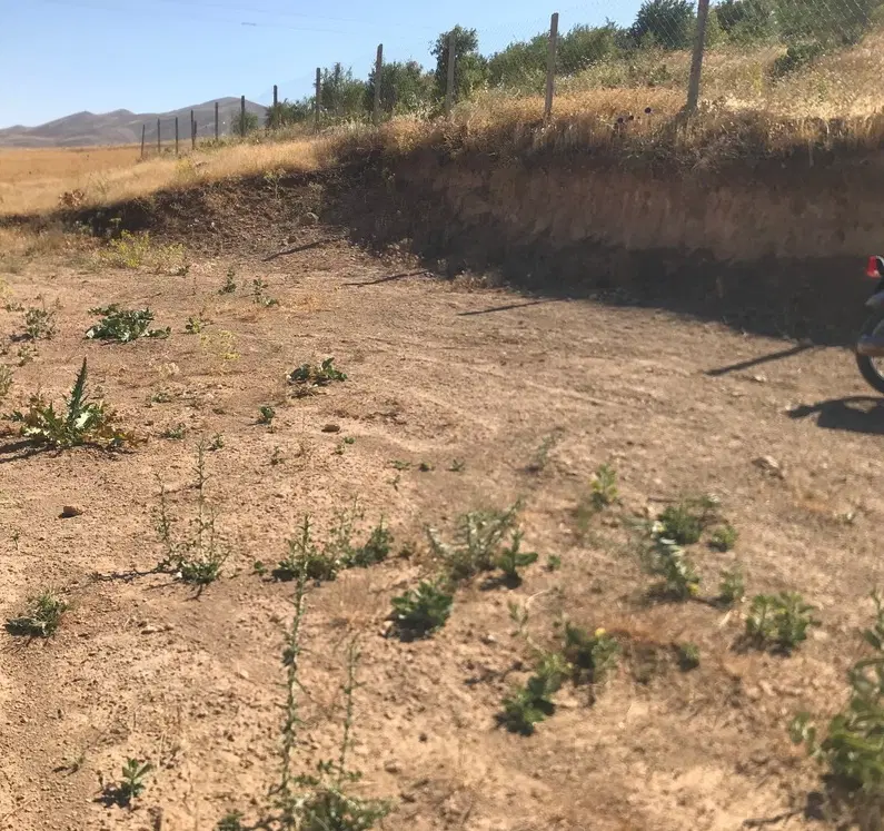 ۱۰۰۰متر زمین در ۴کیلومتری شهر