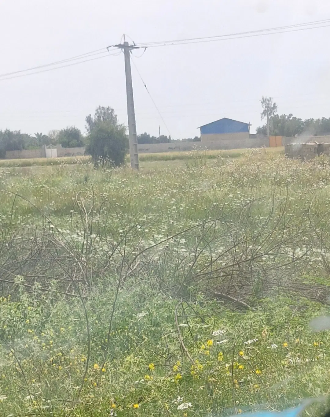 زمین ویلایی شوشتر