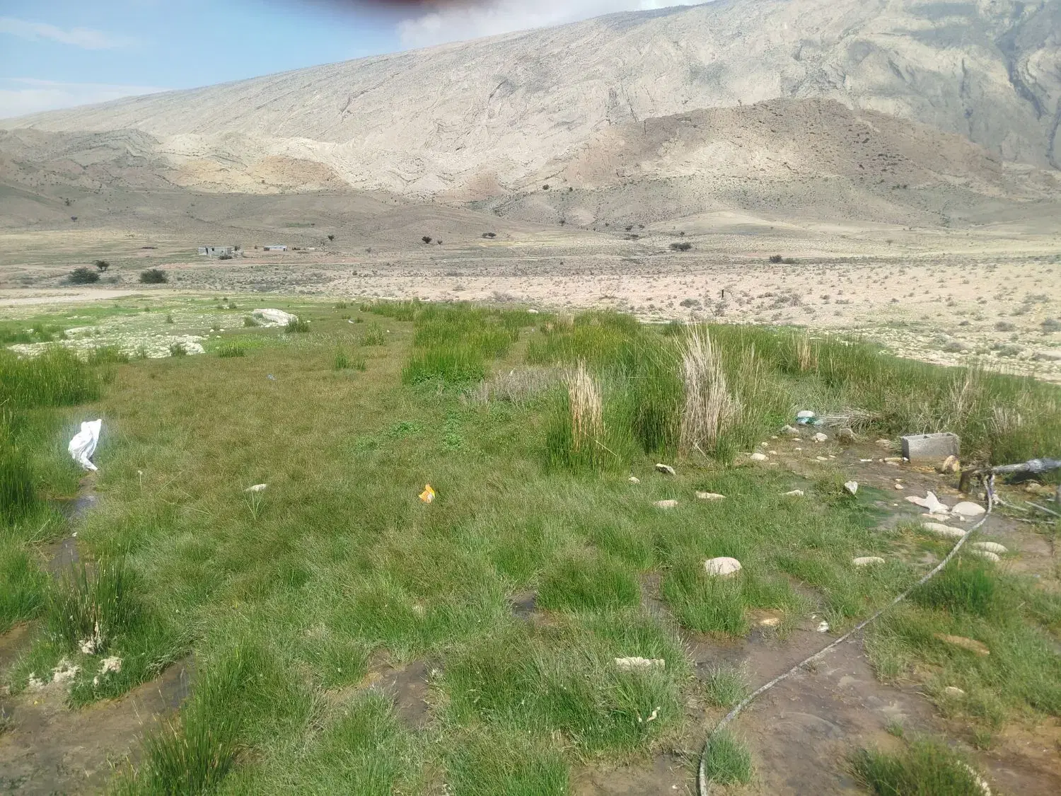 زمین و کارگاهی ویوله ای