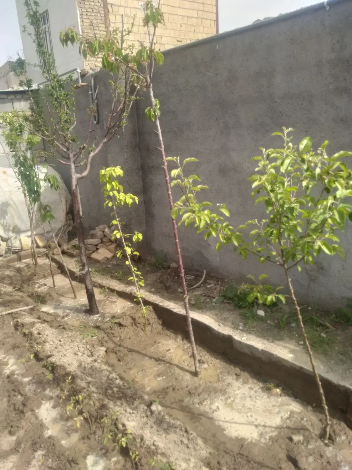 ویلایی ۱۶۰ متری