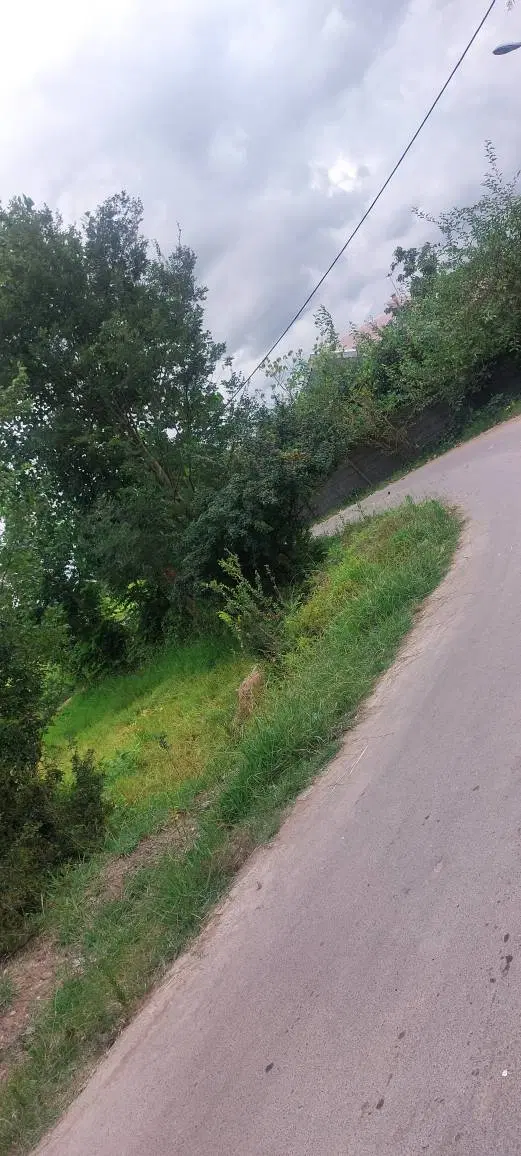باغی داخل طرح(زمین برجاده اصلی آسفالت)