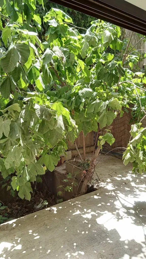 ۷۳ متر یک خوابه با حیاط اختصاصی بلوار آرش