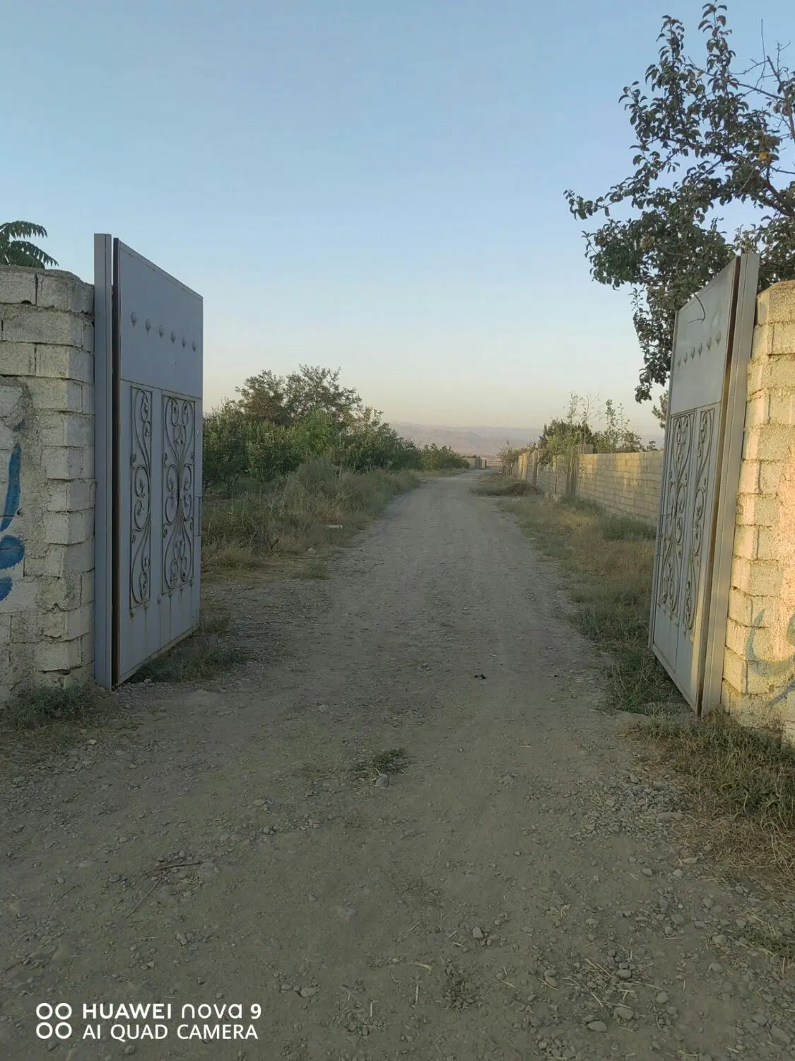 زمین دور دیوار