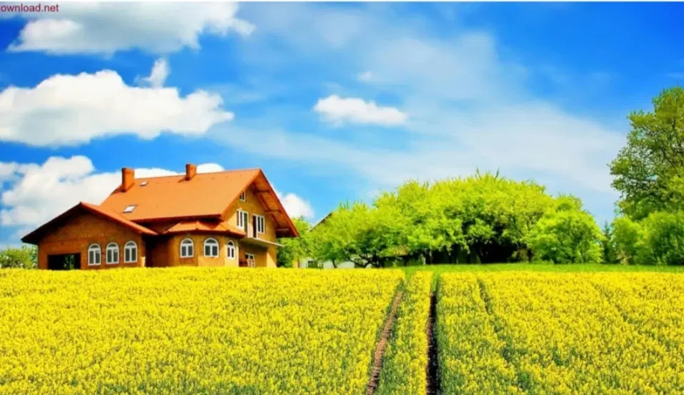 زمین مسکونی سند 6 دانگ