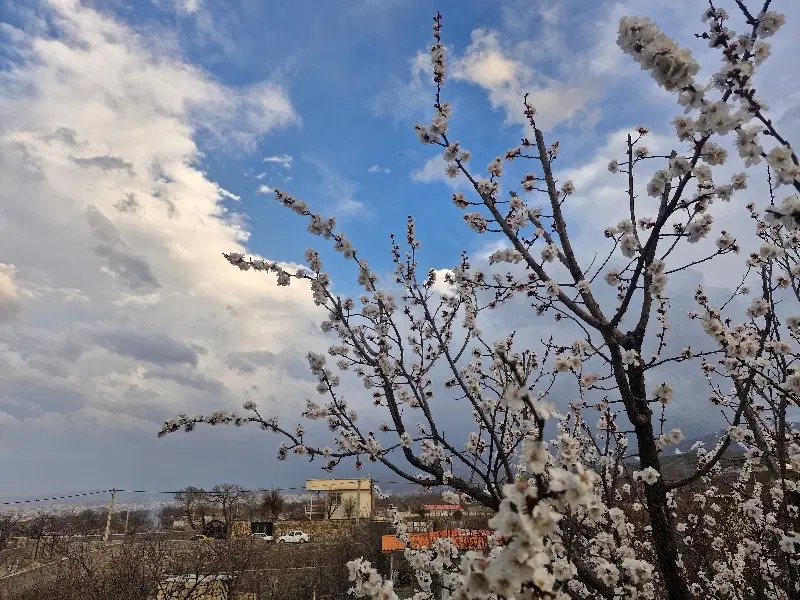 باغ ویلایی کوچه باغ دانیال