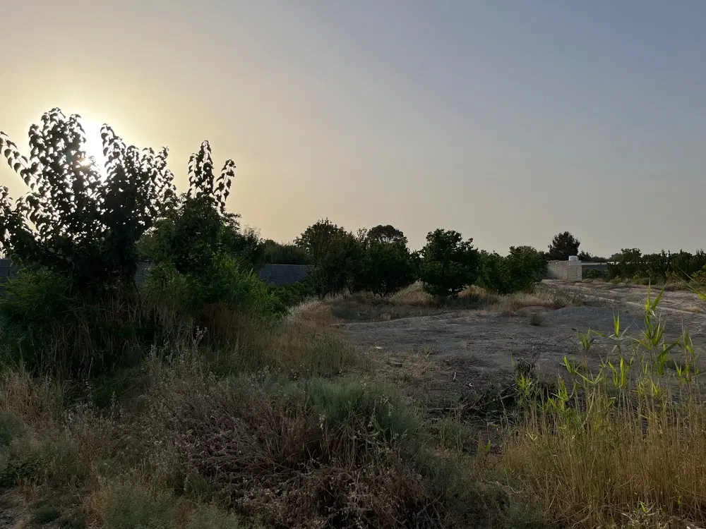 ۱۸۰۰درخت دارمیوه وانگورنزدیک جاده سهمیه اب دارد