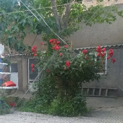 اجاره خانه  با موقعیت عالی برای آموزشگاه و کلینیک