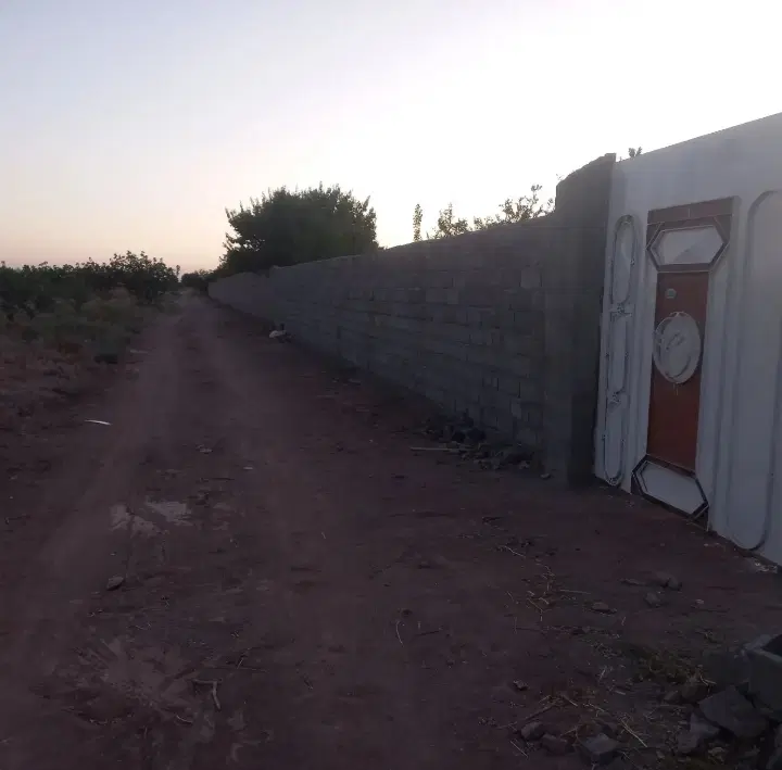 زمین کشاورزی جوپار حجت آباد