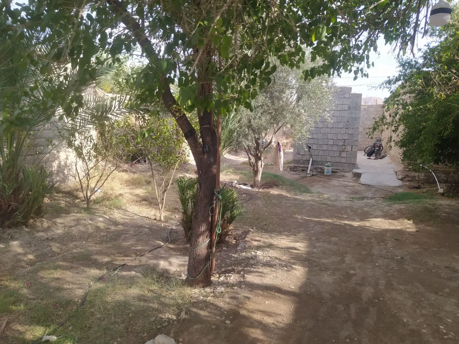 فروش خانه