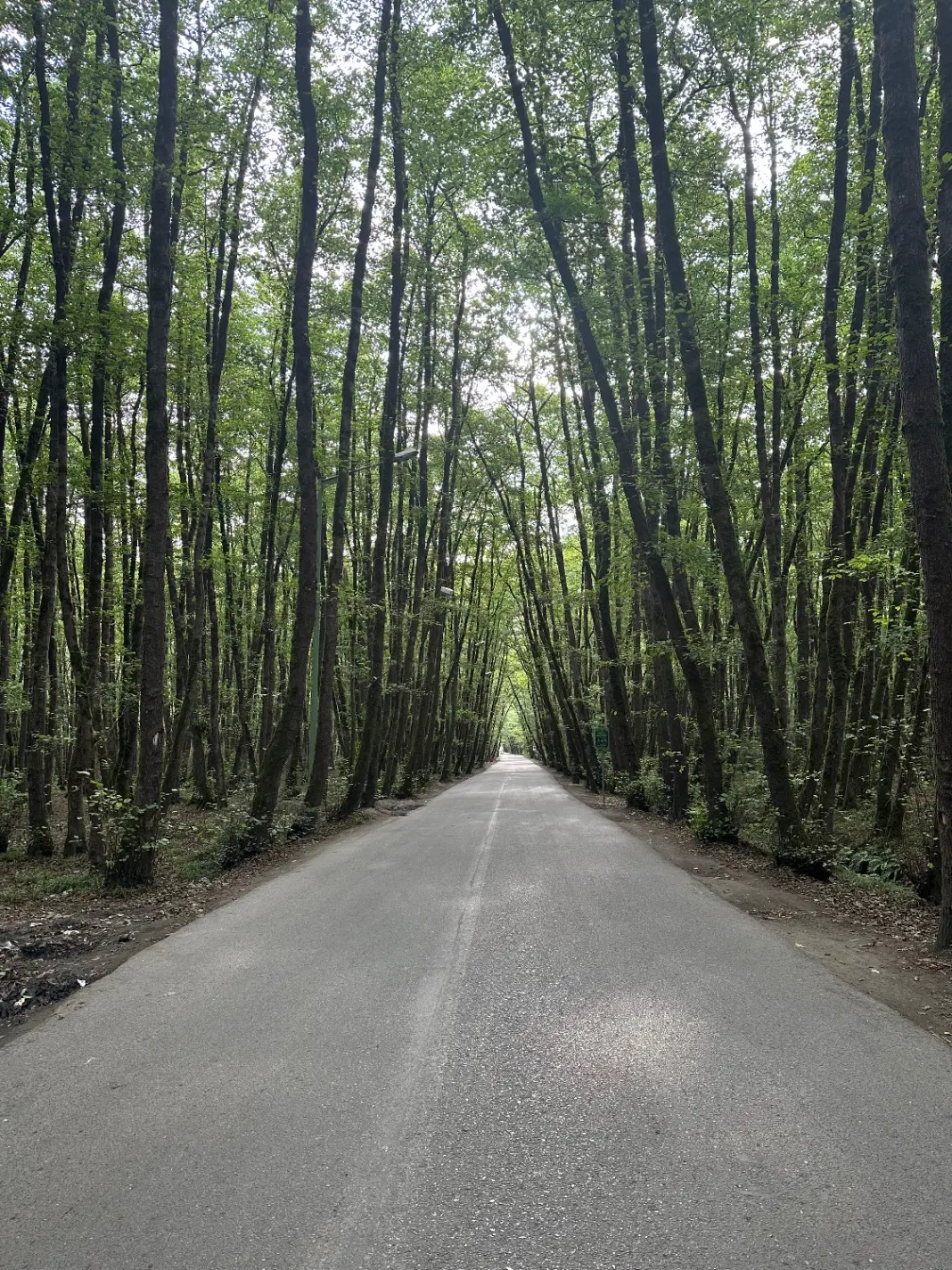 زمین مغازه بر جاده کلانتری سمت رفت