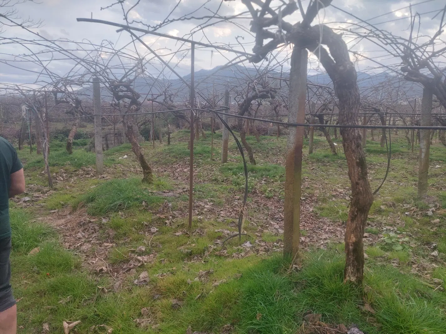زمین ویلای با خانه کلنگی قابل استفاده