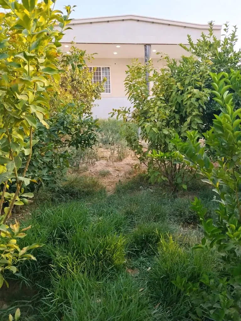 فروش و معاوضه زمین کارگاهی برومی