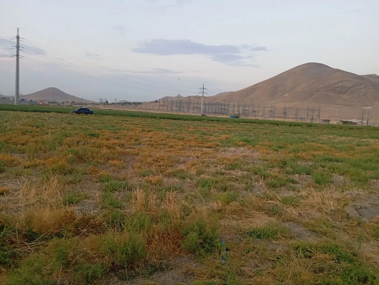 زمین باغچه در الیاس اباد
