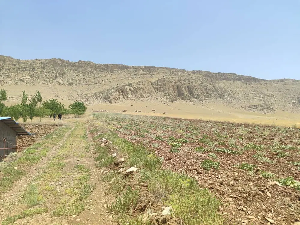 زمین ۲۷۰ متری فاز ۲