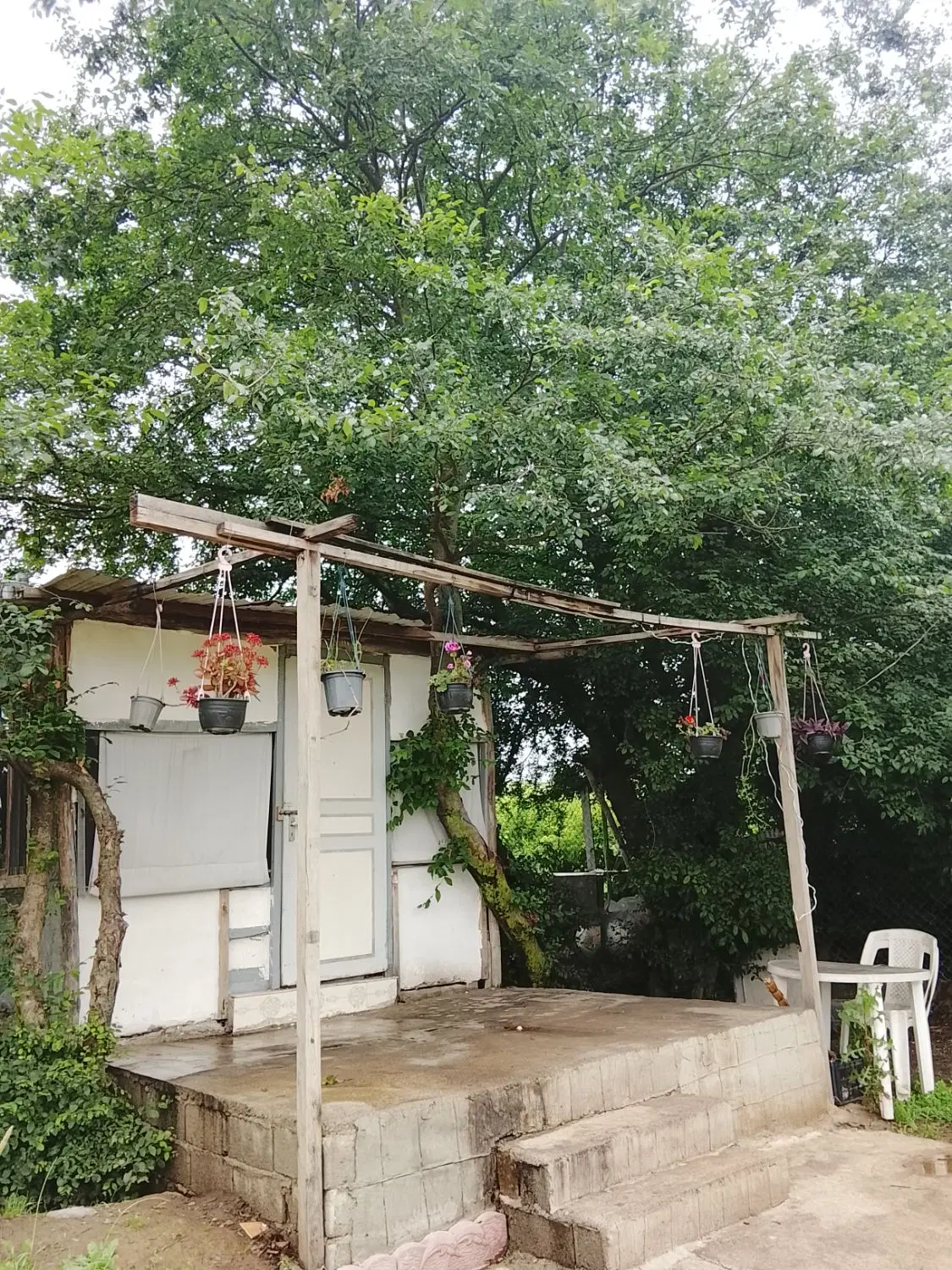 زمین باغی