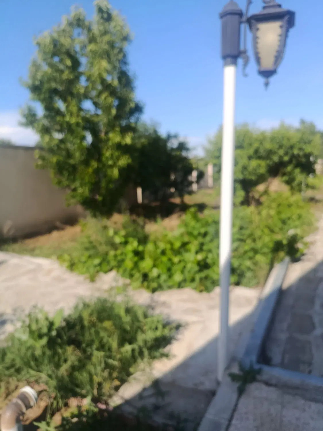 زمین خالی 1000متر پشت بر امامزاده