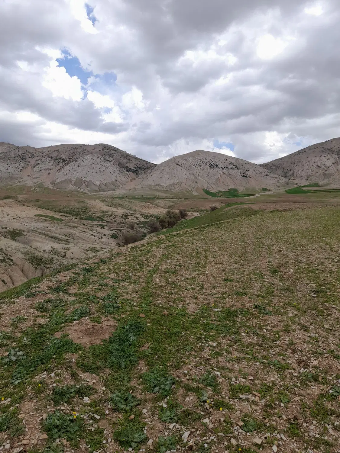 زمین مسکونی کرناچی
