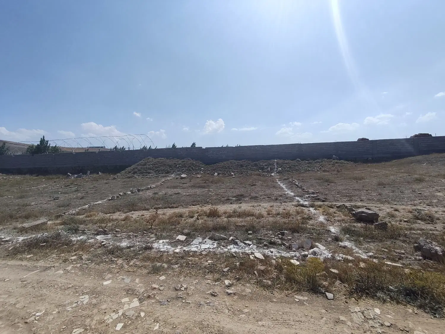 زمین شام اسبی