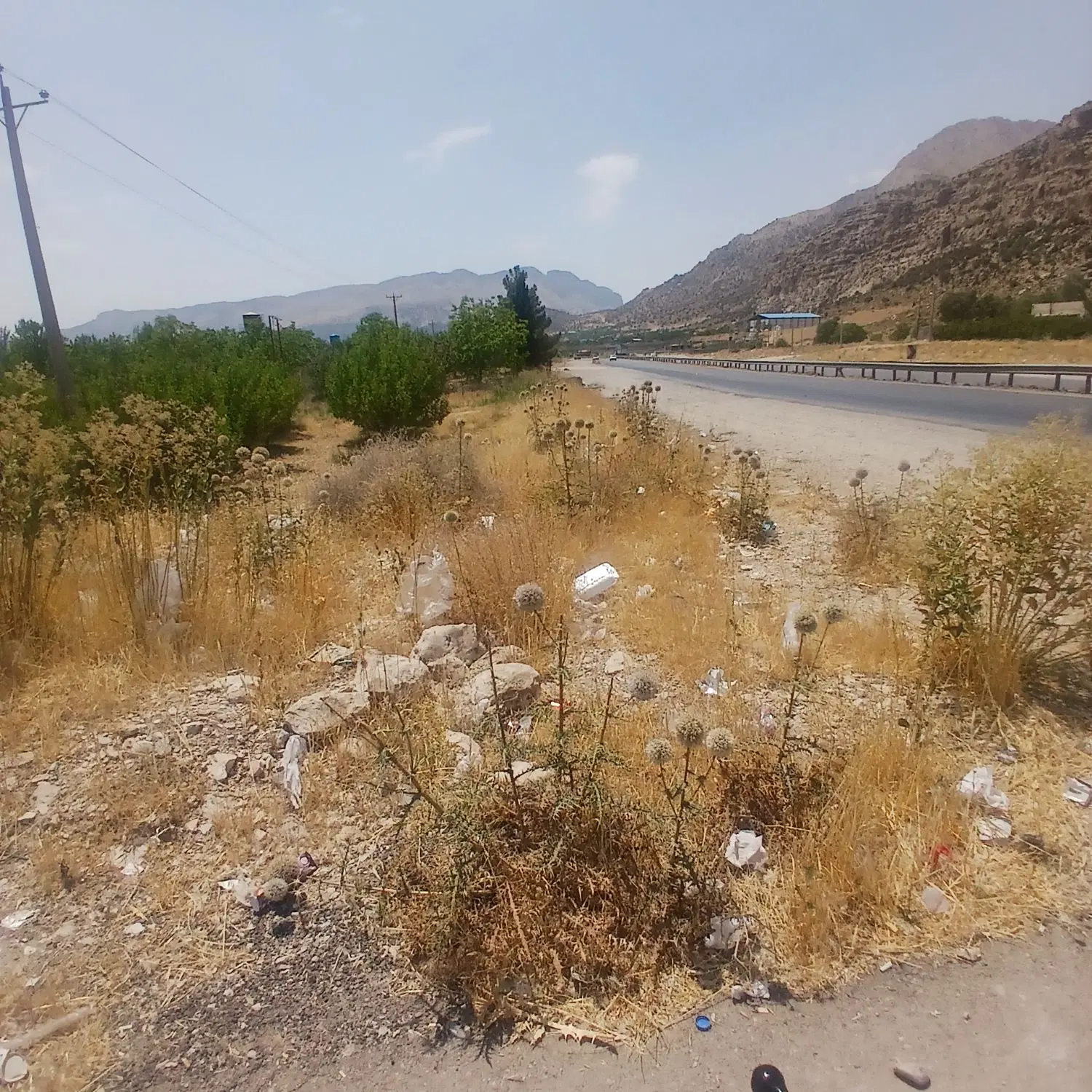 زمین کنار خیابان دشت ارژن