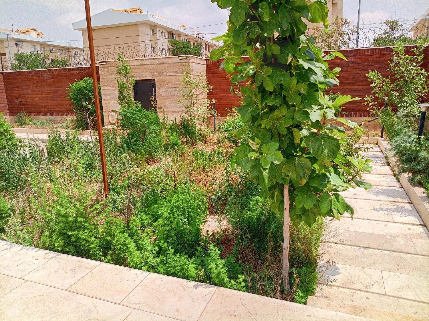 ویلایی ۶۰۰ متردوممر حاشیه بلوار معاوضه