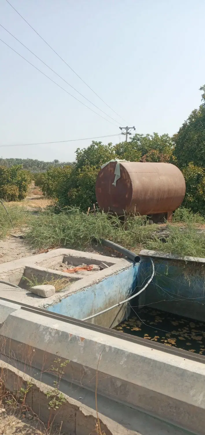 اجاره یک هکتار گلخانه