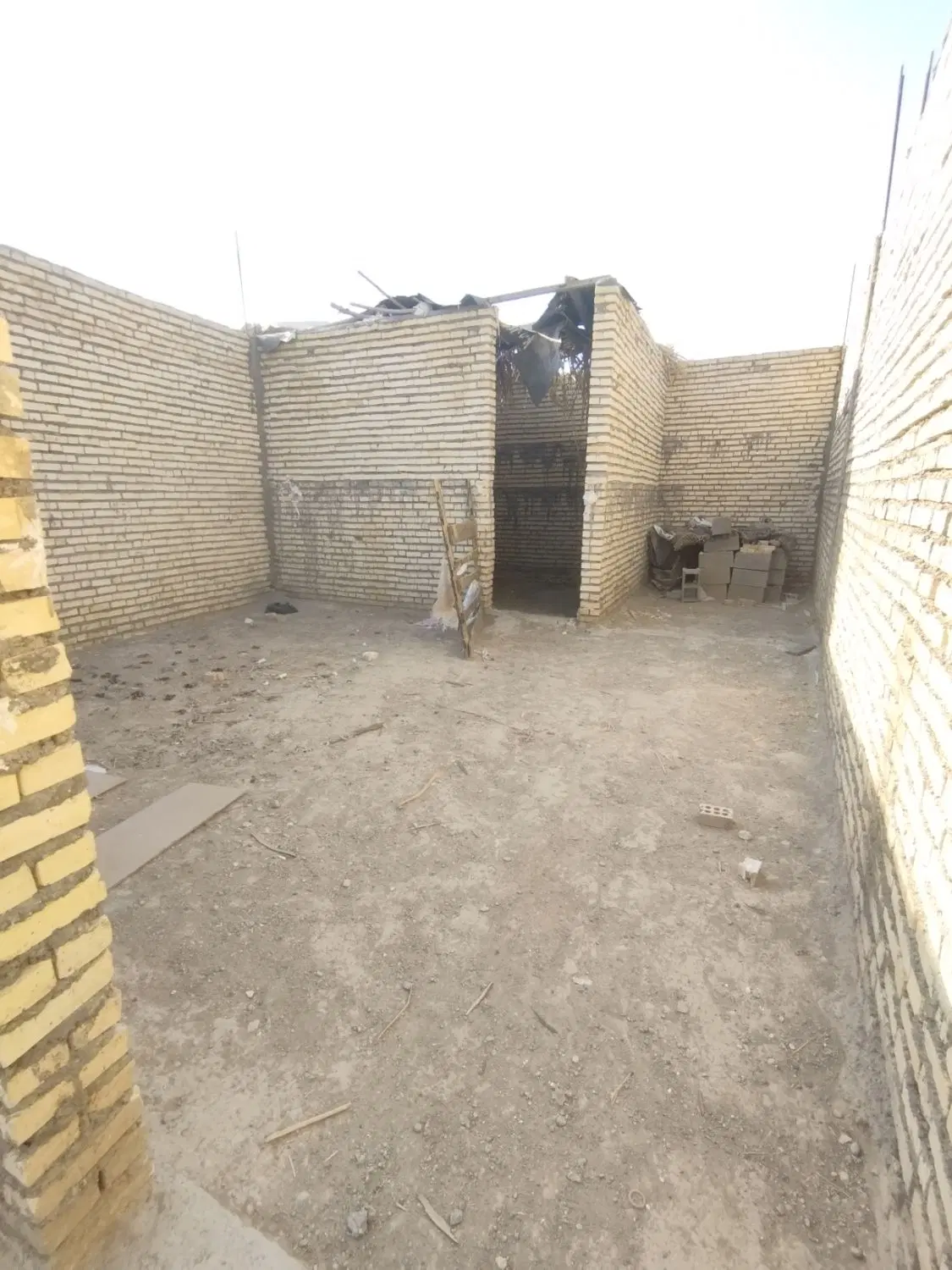 زمین در بهشت رضا