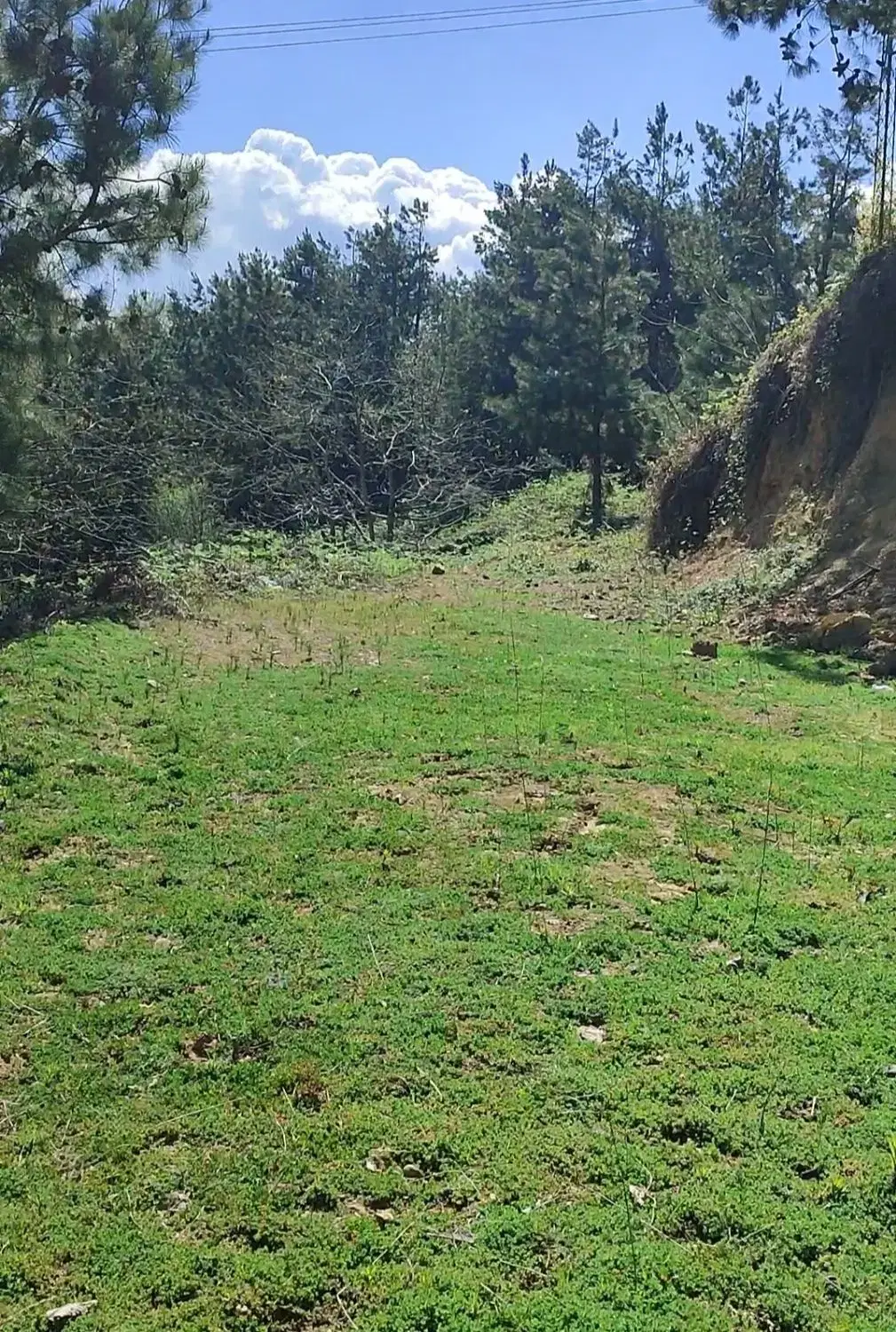 زمین مسکونی