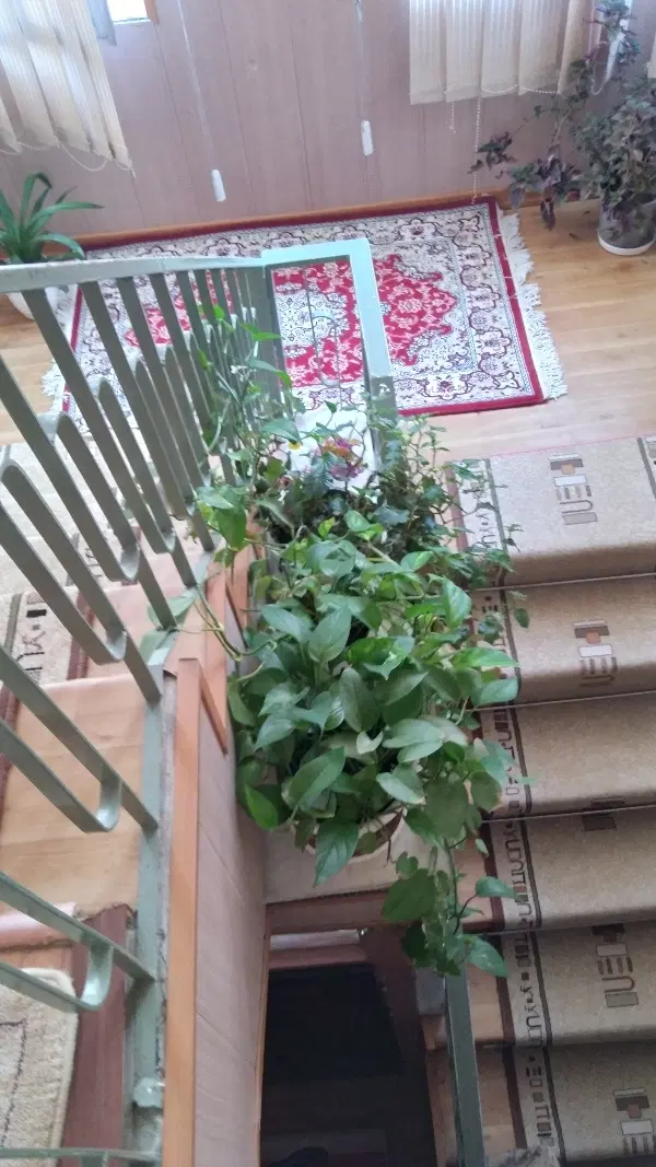اپارتمان ۱۰۰ متری روبه نما
