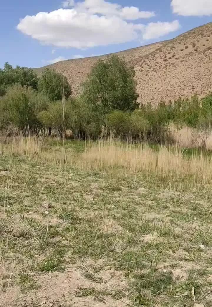 فروش دو قواره زمین هرکدام ۱۱۰۰متر