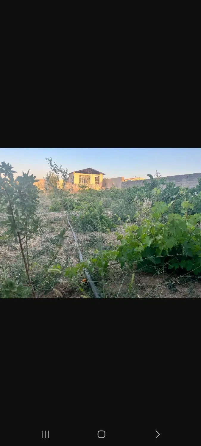 ویلا باغ چهار دیواری با کوچه باغ اختصاصی