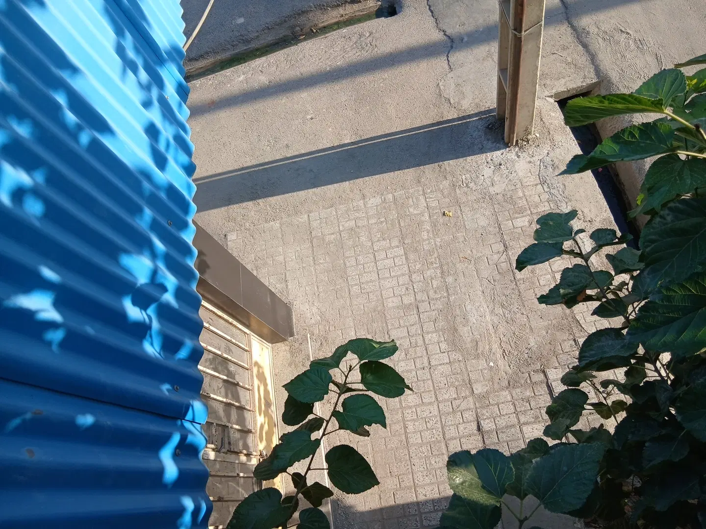 مغازه تجاری