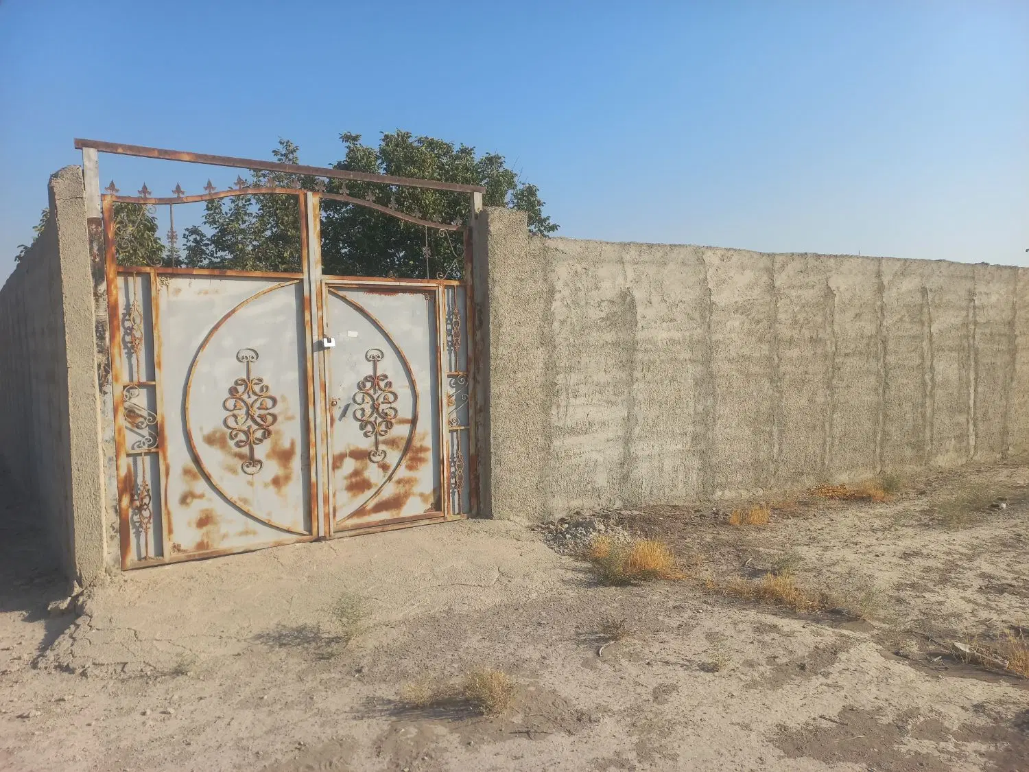 باغچه ۴دیواری