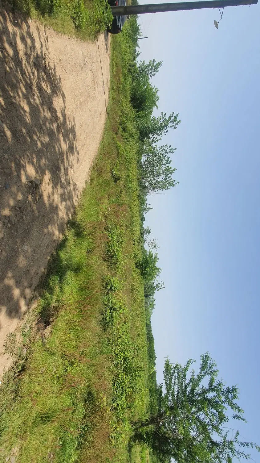 زمین روستایی( تموشل) ۱۱۶۰ متر قابل تفکیک
