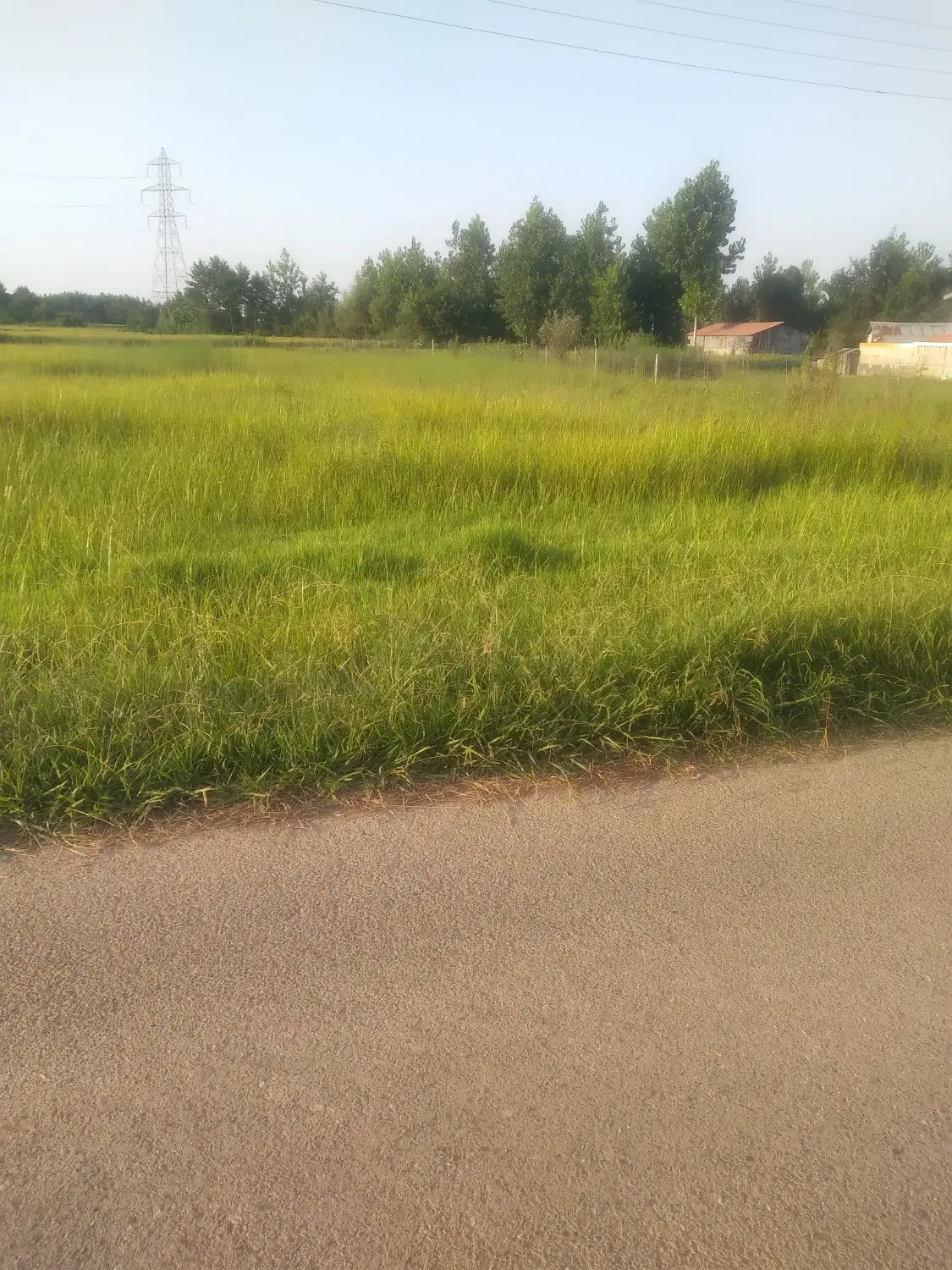 زمین مسکونی