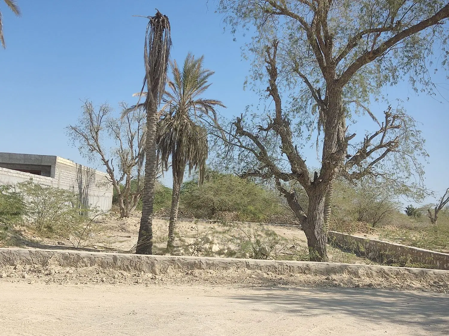۱۲۰۰ متر زمین در رمکان