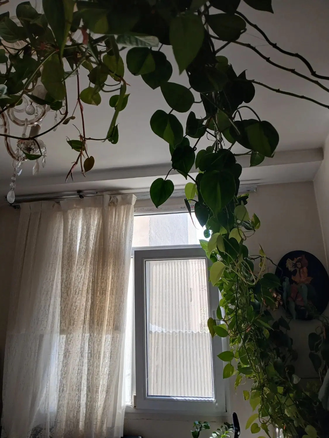 اجاره مسکونی طبقه چهارم ۷۰ متری دوخواب