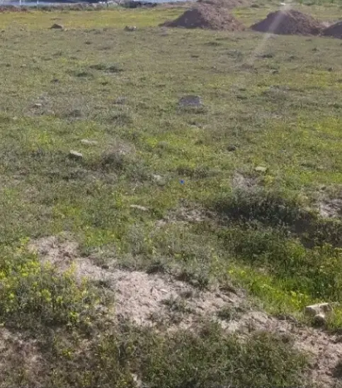 زمین برای سرمایه گذاری