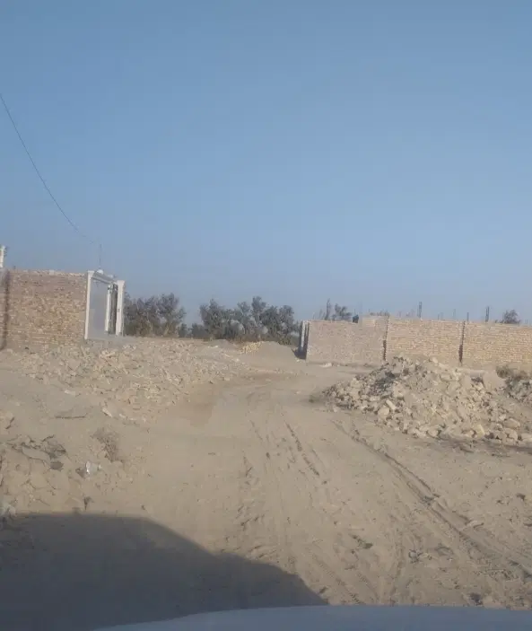 زمین  دانشگاه 20