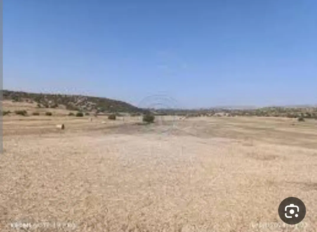 زمین