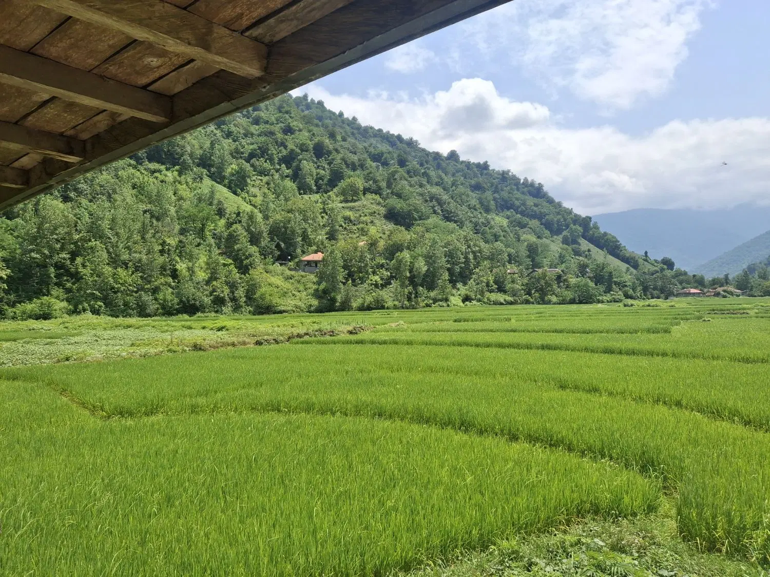 خانه قدیمی تلار دار
