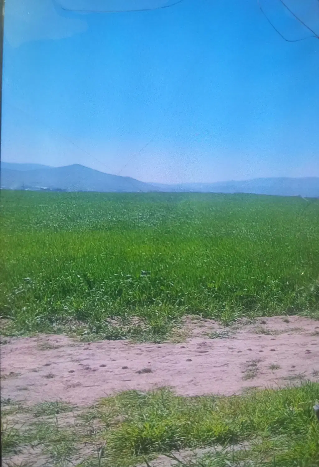 اجاره ۱۲ هکتار زمین کشاورزی