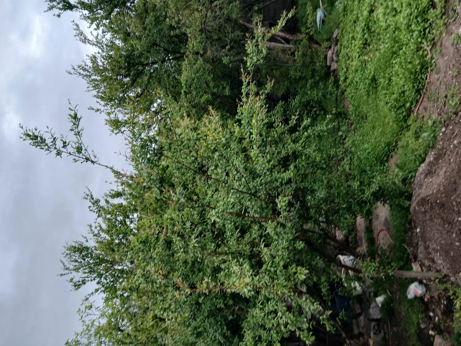 فروش خانه باغ