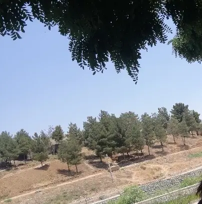 فروش زمین مشاغل آزاد
