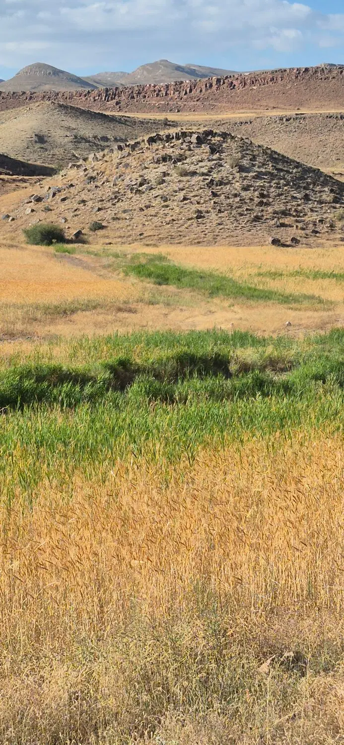 زمین فروشی در کاظم آباد پنج شنبه