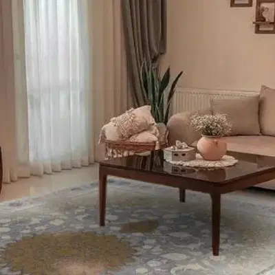 آپارتمان صدمتری تک واحده