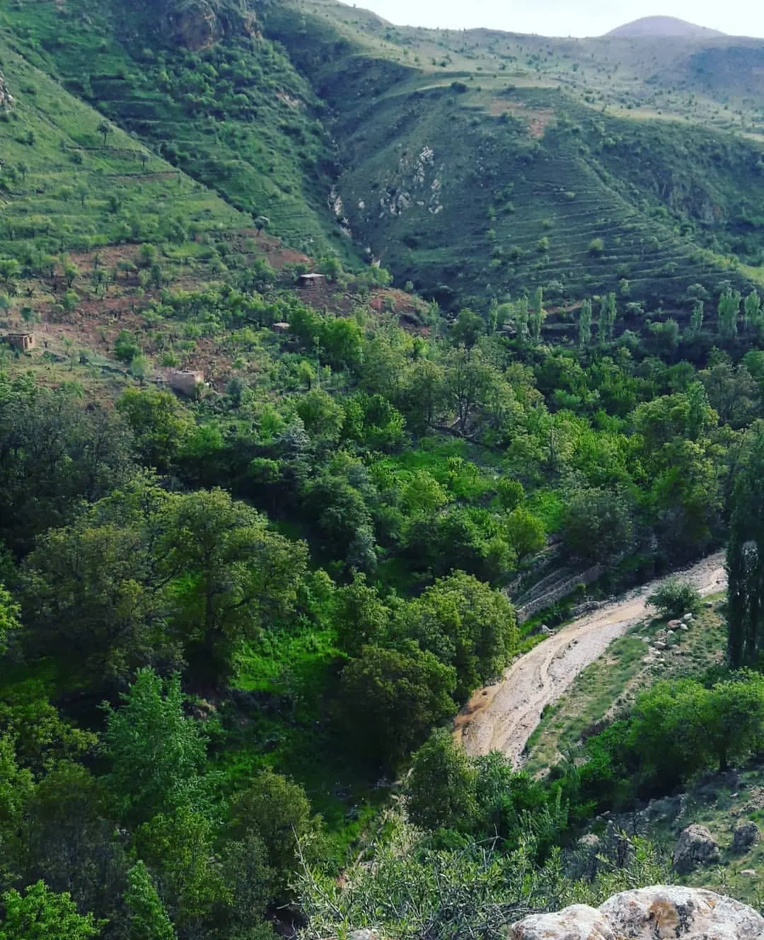 500مترزمین روستای درصوفیان